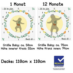 Fantifant Meilenstein-Fotodecke fur Babys Детское фотоодеяло Milestone