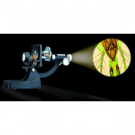 Edu-Toys Mikroskop im Handkoffer mit Zubehor Микроскоп в кейсе с принадлежностями