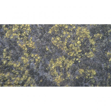 Bresser Junior 20x Auflicht Mikroskop 20-кратный микроскоп отраженного света