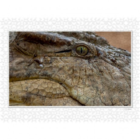 CALVENDO Puzzle CALVENDO Puzzle Emotional Moments: Die Augen der Tiere. UK-Version Пазл CALVENDO Puzzle Emotional Moments: Глаза животных. версия для Великобритании
